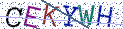 Type the letters shown in the picture