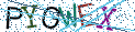 Type the letters shown in the picture