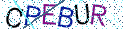 Type the letters shown in the picture