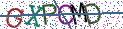 Type the letters shown in the picture