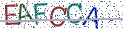 Type the letters shown in the picture