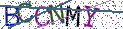 Type the letters shown in the picture