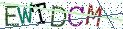 Type the letters shown in the picture