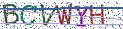 Type the letters shown in the picture