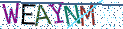 Type the letters shown in the picture