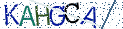 Type the letters shown in the picture