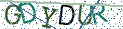 Type the letters shown in the picture