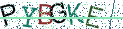 Type the letters shown in the picture