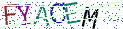 Type the letters shown in the picture