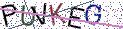 Type the letters shown in the picture