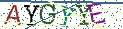 Type the letters shown in the picture