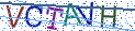 Type the letters shown in the picture