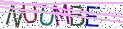 Type the letters shown in the picture