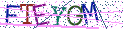 Type the letters shown in the picture