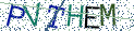 Type the letters shown in the picture