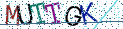 Type the letters shown in the picture