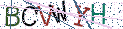 Type the letters shown in the picture
