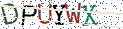 Type the letters shown in the picture