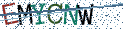 Type the letters shown in the picture