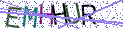 Type the letters shown in the picture