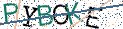 Type the letters shown in the picture