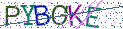Type the letters shown in the picture
