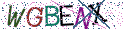 Type the letters shown in the picture