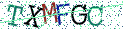 Type the letters shown in the picture