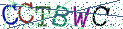 Type the letters shown in the picture