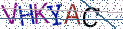 Type the letters shown in the picture