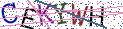 Type the letters shown in the picture