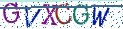 Type the letters shown in the picture