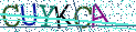 Type the letters shown in the picture