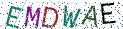 Type the letters shown in the picture