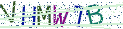 Type the letters shown in the picture