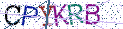 Type the letters shown in the picture