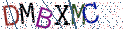 Type the letters shown in the picture