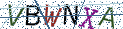 Type the letters shown in the picture