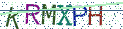 Type the letters shown in the picture