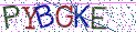 Type the letters shown in the picture