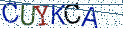 Type the letters shown in the picture