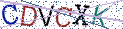 Type the letters shown in the picture