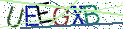 Type the letters shown in the picture