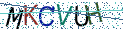 Type the letters shown in the picture