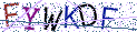 Type the letters shown in the picture
