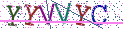 Type the letters shown in the picture
