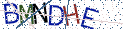 Type the letters shown in the picture