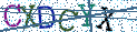 Type the letters shown in the picture