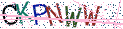 Type the letters shown in the picture