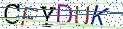 Type the letters shown in the picture
